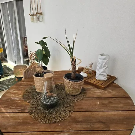 Cosy T2 Entre Terre Et Mer Apartment Montpellier